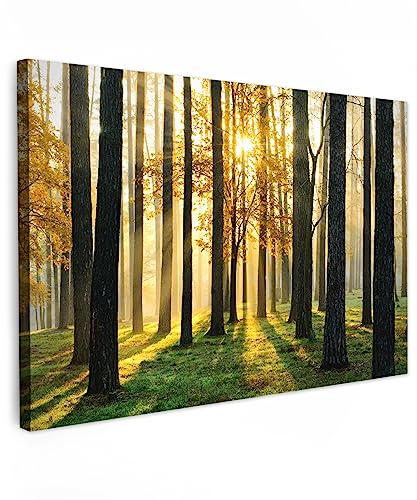 MuchoWow© Leinwand Bilder Groß 120x80 cm XXL Wanddeko Wohnzimmer Aesthetic Room Decor Deko Zimmer Wandbilder Modern Fotogeschenke Bild Wald - Sonne - Bäume - Gras - Landschaft - Natur von MuchoWow