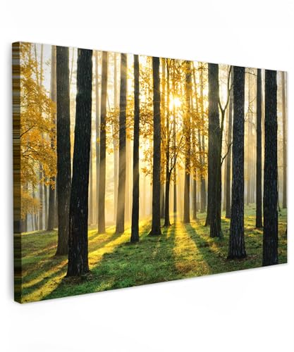 MuchoWow© Leinwand Bilder Groß 120x80 cm XXL Wanddeko Wohnzimmer Aesthetic Room Decor Deko Zimmer Wandbilder Modern Fotogeschenke Bild Wald - Sonne - Bäume - Gras - Landschaft - Natur von MuchoWow