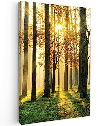 MuchoWow© Leinwand Bilder Groß 80x120 cm XXL Wanddeko Wohnzimmer Aesthetic Room Decor Deko Zimmer Wandbilder Modern Fotogeschenke Bild Wald - Sonne - Bäume - Gras - Landschaft - Natur von MuchoWow