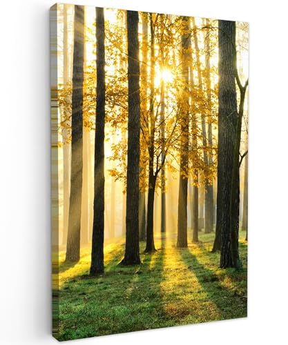 MuchoWow© Leinwand Bilder Groß 80x120 cm XXL Wanddeko Wohnzimmer Aesthetic Room Decor Deko Zimmer Wandbilder Modern Fotogeschenke Bild Wald - Sonne - Bäume - Gras - Landschaft - Natur von MuchoWow