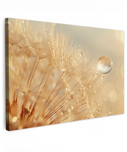 MuchoWow© Leinwand Bilder Klein 30x20 cm Mini Wanddeko Wohnzimmer Aesthetic Room Decor Deko Zimmer Wandbilder Modern Bild auf Leinwand Löwenzahn - Wasser - Natur - Pflanzen - Modern von MuchoWow