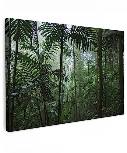 MuchoWow© Leinwand Bilder Klein 30x20 cm Mini Wanddeko Wohnzimmer Aesthetic Room Decor Deko Zimmer Wandbilder Modern Fotogeschenke Regenwald - Dschungel - Bäume - Pflanzen - Natur - Grün von MuchoWow