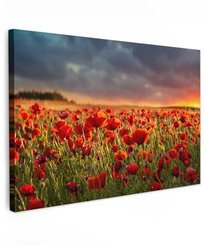 MuchoWow© Leinwand Bilder Klein 30x20 cm Mini Wanddeko Wohnzimmer Aesthetic Room Decor Deko Zimmer Wandbilder Modern Fotogeschenke Sonnenuntergang - Mohn - Rot - Blumen - Feld - Bild Natur von MuchoWow