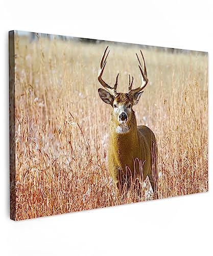 MuchoWow© Leinwand Groß 120x80 cm XXL Deko Schlafzimmer Aesthetic Leinwandbilder Wohnzimmer Gemälde Foto Geschenk Living Room Decoration Hirsch Bild - Rotwild - Reh - Herbst - Tiere - Natur - Geweih von MuchoWow