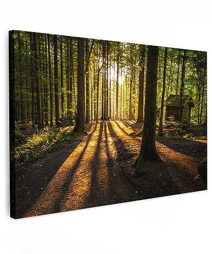 MuchoWow© Leinwand Groß 120x80 cm XXL Deko Schlafzimmer Aesthetic Leinwandbilder Wohnzimmer Gemälde Foto Geschenk Living Room Decoration Wandbilder Bild Wald - Sonne - Bäume - Landschaft - Natur von MuchoWow