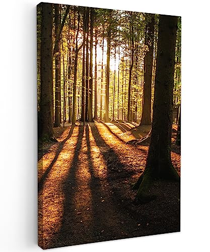 MuchoWow© Leinwand Groß 80x120 cm XXL Deko Schlafzimmer Aesthetic Leinwandbilder Wohnzimmer Gemälde Foto Geschenk Living Room Decoration Wandbilder Bild Wald - Sonne - Bäume - Landschaft - Natur von MuchoWow