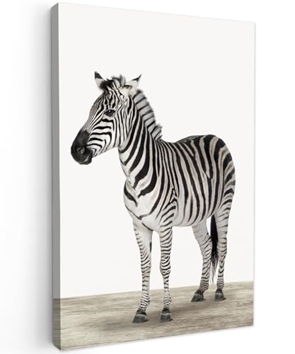 MuchoWow© Leinwand Klein 20x30 cm Mini Deko Schlafzimmer Aesthetic Leinwandbilder Wohnzimmer Gemälde Foto Geschenk Living Room Decoration Kinderzimmer - Zebra - Mädchen - Tiere - Kinder - Jungen von MuchoWow