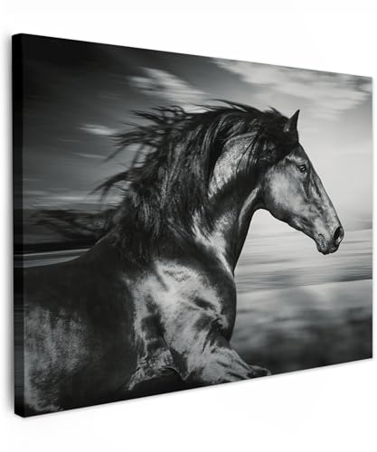 MuchoWow© Leinwandbild 40x30 cm Dekoration Wohnzimmer Bilder Aufhängen Wall Decoration Living Room Wohnungs Deko Moderne Schwarzweiss - Weiss - Pferd - Tiere - Bild Schwarz und Weiß von MuchoWow
