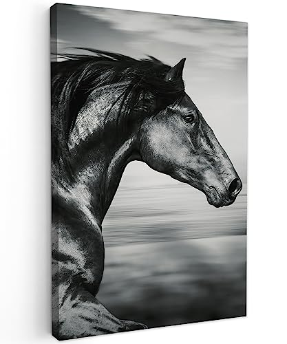 MuchoWow© Leinwandbild 40x60 cm Dekoration Wohnzimmer Bilder Aufhängen Wall Decoration Living Room Wohnungs Deko Moderne Schwarzweiss - Weiss - Pferd - Tiere - Bild Schwarz und Weiß von MuchoWow