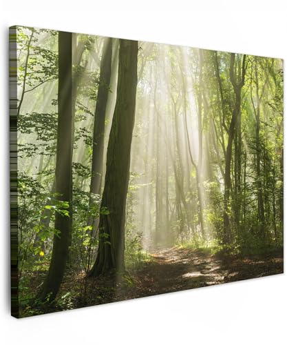 MuchoWow© Leinwandbild 80x60 cm Dekoration Wohnzimmer Bilder Aufhängen Wall Decoration Living Room Wohnungs Deko Moderne Wald - Sonne - Jahreszeiten - Landschaft - Bäume von MuchoWow