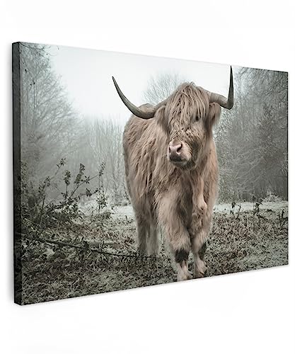 MuchoWow© Leinwandbild 90x60 cm Dekoration Wohnzimmer Bilder Aufhängen Wall Decoration Living Room Wohnungs Deko Moderne Schottisches Hochlandrind - Highland Cow - Kuh Bild - Natur - Herbst von MuchoWow