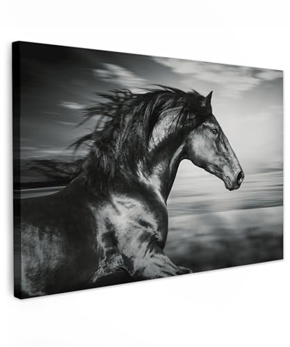 MuchoWow© Leinwandbild 90x60 cm Dekoration Wohnzimmer Bilder Aufhängen Wall Decoration Living Room Wohnungs Deko Moderne Schwarzweiss - Weiss - Pferd - Tiere - Bild Schwarz und Weiß von MuchoWow