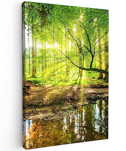 MuchoWow© Leinwandbild Groß 80x120 cm XXL Dekoration Wohnzimmer Bilder Aufhängen Wall Decoration Living Room Wohnungs Deko Moderne Wandbilder Bild Wald - Landschaft - Wasser - Bäume - Grün - Natur von MuchoWow