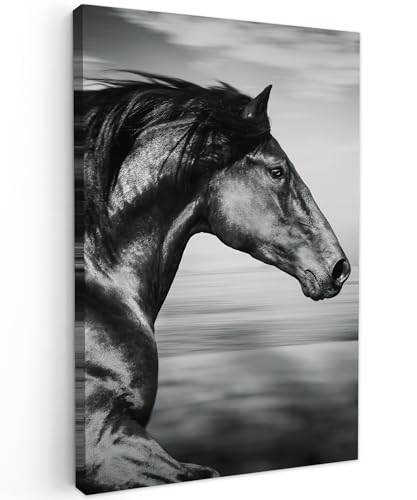 MuchoWow© Leinwandbild Klein 20x30 cm Mini Dekoration Wohnzimmer Bilder Aufhängen Wall Decoration Living Room Wohnungs Deko Moderne Schwarzweiss - Weiss - Pferd - Tiere - Bild Schwarz und Weiß von MuchoWow