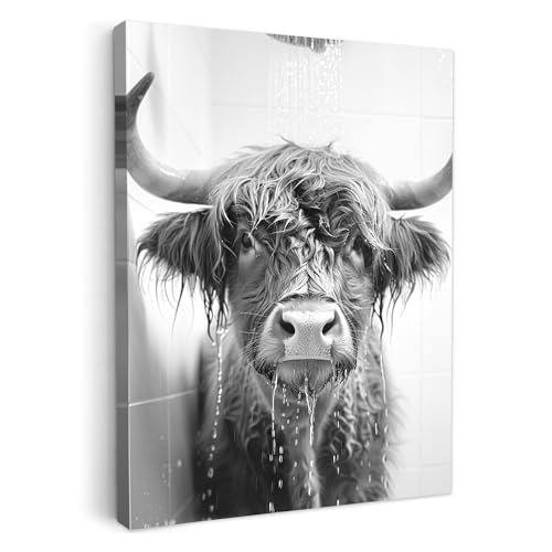 MuchoWow© Leinwandbilder 60x80 cm Wall Art Decoration Bilder für die Wand Badezimmer Toilette Deko Canvas Painting Wanddekoration Wohnzimmer Hochländer - Zeitung - Kuh - WC von MuchoWow