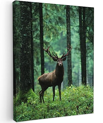 MuchoWow© Wandbilder 30x40 cm Schlafzimmer Home Deko Wohnung Bild Wohnzimmer Fotoleinwand Wand Bilder Leinwand Wall Decor Hirsch - Rotwild - REH - Wald - Bäume - Tiere - Natur von MuchoWow