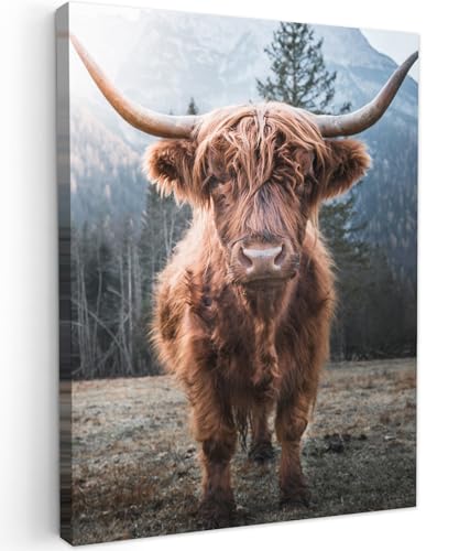 MuchoWow© Wandbilder 30x40 cm Wohnzimmer Wanddeko Schlafzimmer Zimmerdeko Fotowand Zimmer Deko Wand Dekoration Wall Art Kuh Leinwand - Schottisches Hochlandrind - Highland Cow Bild - Tiere von MuchoWow