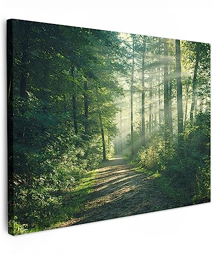 MuchoWow© Wandbilder 40x30 cm Schlafzimmer Home Deko Wohnung Bild Wohnzimmer Fotoleinwand Wand Bilder Leinwand Wall Decor Wald - Weg - Sonne - Bäume - Grün - Natur von MuchoWow