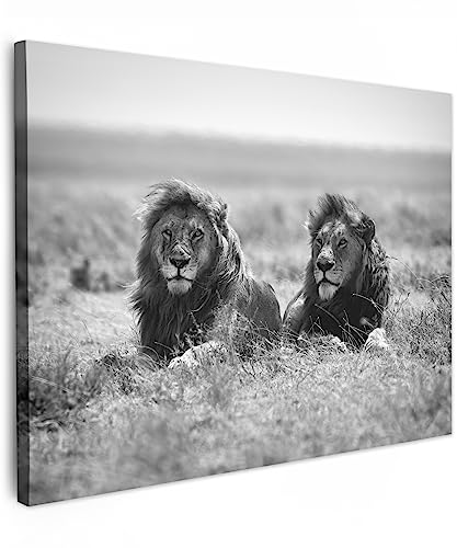 MuchoWow© Wandbilder 40x30 cm Wohnzimmer Wanddeko Schlafzimmer Zimmerdeko Fotowand Zimmer Deko Wand Dekoration Wall Art Bilder Schwarz Weiß - Löwen - Tiere - Savanne - Weiss von MuchoWow