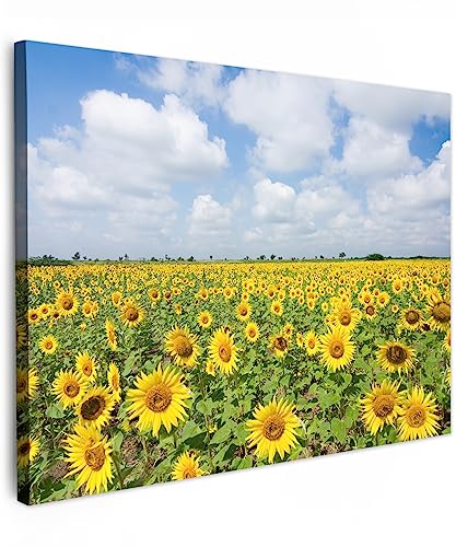 MuchoWow© Wandbilder 40x30 cm Wohnzimmer Wanddeko Schlafzimmer Zimmerdeko Fotowand Zimmer Deko Wand Dekoration Wall Art Sonnenblumen - Blumen - Wolken - Bilder Natur - Gelb - Landschaft von MuchoWow