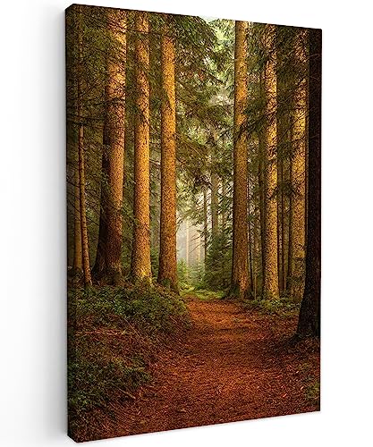 MuchoWow© Wandbilder 40x60 cm Wohnzimmer Wanddeko Schlafzimmer Zimmerdeko Fotowand Zimmer Deko Wand Dekoration Wall Art Bild Wald - Natur - Bäume - Landschaft - Laub von MuchoWow