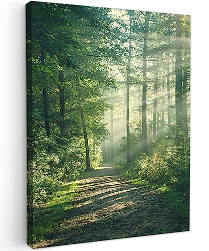 MuchoWow© Wandbilder 50x70 cm Schlafzimmer Home Deko Wohnung Bild Wohnzimmer Fotoleinwand Wand Bilder Leinwand Wall Decor Wald - Weg - Sonne - Bäume - Grün - Natur von MuchoWow