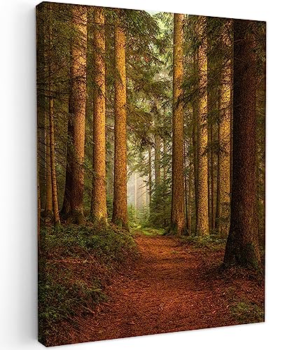 MuchoWow© Wandbilder 50x70 cm Wohnzimmer Wanddeko Schlafzimmer Zimmerdeko Fotowand Zimmer Deko Wand Dekoration Wall Art Bild Wald - Natur - Bäume - Landschaft - Laub von MuchoWow