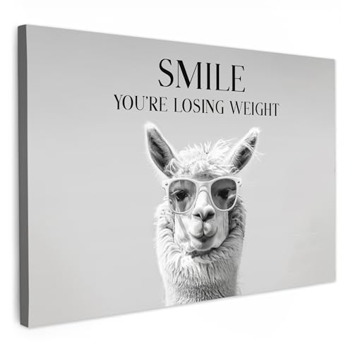 MuchoWow© Wandbilder 60x40 cm Badezimmer WC Toilette Wanddeko Zimmerdeko Wandgemälde Zimmer Deko auf Wand Dekoration Wall Art Zitate - Lama - Lächeln - Sprichwörter - Grau von MuchoWow