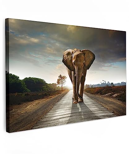 MuchoWow© Wandbilder 60x40 cm Schlafzimmer Home Deko Wohnung Bild Tier Wohnzimmer Fotoleinwand Wand Bilder Tierbilder auf Leinwand Wall Decor Wanddeko Waldtiere - Elefant - Sonnenuntergang von MuchoWow