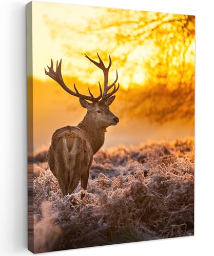 MuchoWow© Wandbilder 60x80 cm Schlafzimmer Home Deko Wohnung Bild Wohnzimmer Fotoleinwand Wand Bilder Leinwand Wall Decor Hirsch - Rotwild - Reh - Tiere - Sonnenuntergang - Winter - Natur von MuchoWow