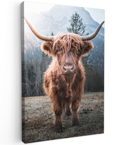 MuchoWow© Wandbilder 60x90 cm Wohnzimmer Wanddeko Schlafzimmer Zimmerdeko Fotowand Zimmer Deko Wand Dekoration Wall Art Kuh Leinwand - Schottisches Hochlandrind - Highland Cow Bild - Tiere von MuchoWow