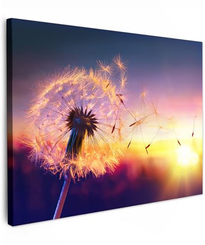 MuchoWow© Wandbilder 80x60 cm Schlafzimmer Home Deko Wohnung Bild Wohnzimmer Fotoleinwand Wand Bilder Leinwand Wall Decor Natur - Löwenzahn - Blumen - Sonnenuntergang - Pusteblume - Nacht von MuchoWow