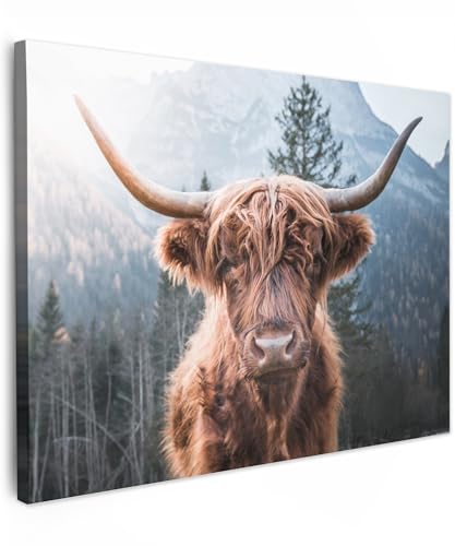 MuchoWow© Wandbilder 80x60 cm Wohnzimmer Wanddeko Schlafzimmer Zimmerdeko Fotowand Zimmer Deko Wand Dekoration Wall Art Kuh Leinwand - Schottisches Hochlandrind - Highland Cow Bild - Tiere von MuchoWow