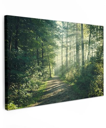 MuchoWow© Wandbilder 90x60 cm Schlafzimmer Home Deko Wohnung Bild Wohnzimmer Fotoleinwand Wand Bilder Leinwand Wall Decor Wald - Weg - Sonne - Bäume - Grün - Natur von MuchoWow