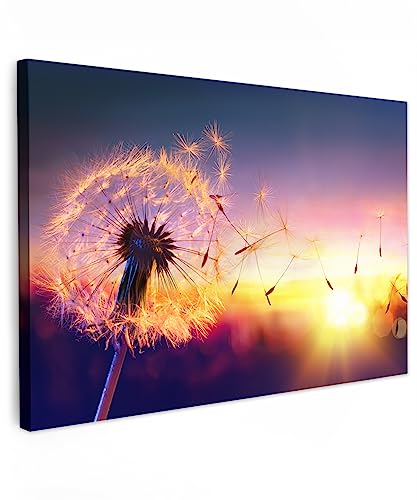 MuchoWow© Wandbilder Groß 120x80 cm XXL Schlafzimmer Home Deko Wohnung Bild Wohnzimmer Fotoleinwand Wand Bilder Leinwand Wall Decor Natur - Löwenzahn - Blumen - Sonnenuntergang - Pusteblume - Nacht von MuchoWow