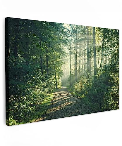 MuchoWow© Wandbilder Groß 120x80 cm XXL Schlafzimmer Home Deko Wohnung Bild Wohnzimmer Fotoleinwand Wand Bilder Leinwand Wall Decor Wald - Weg - Sonne - Bäume - Grün - Natur von MuchoWow