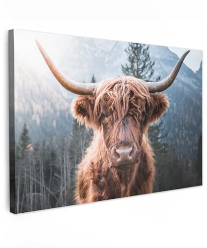 MuchoWow© Wandbilder Groß 120x80 cm XXL Wohnzimmer Wanddeko Schlafzimmer Zimmerdeko Fotowand Zimmer Deko Wand Dekoration Wall Art Kuh Leinwand - Schottisches Hochlandrind - Highland Cow Bild - Tiere von MuchoWow