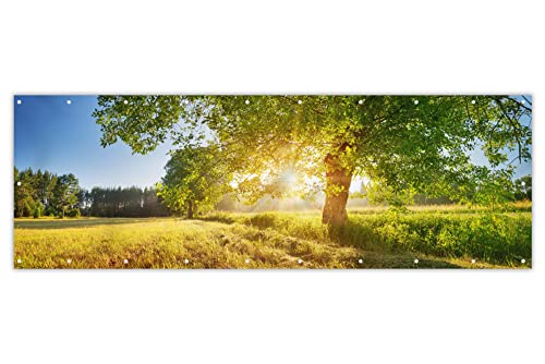 MuchoWow® Balkon Sichtschutz Sichtschutzmatte Balkonbanner Abdeckung für Terrasse Balkon Windschutz Blickdicht Wetterfest 300x100 cm Sommer - Baum - Landschaft - Sonnenaufgang von MuchoWow