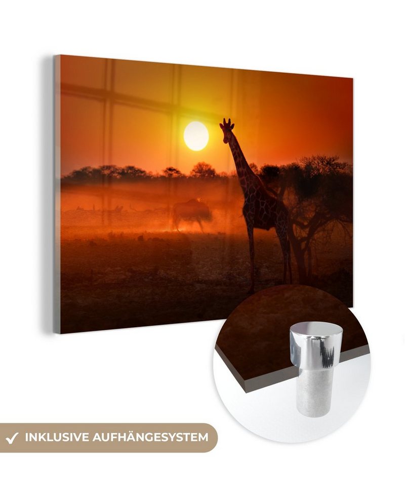 MuchoWow Acrylglasbild Giraffe - Sonne - Savanne, (1 St), Glasbilder - Bilder auf Glas Wandbild - Foto auf Glas - Wanddekoration von MuchoWow