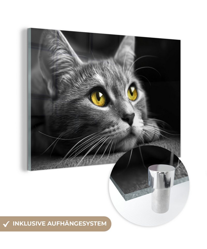 MuchoWow Acrylglasbild Katze - Schwarz - Weiß - Tiere - Natur, (1 St), Acrylglasbilder Wohnzimmer & Schlafzimmer, 30x20 cm von MuchoWow