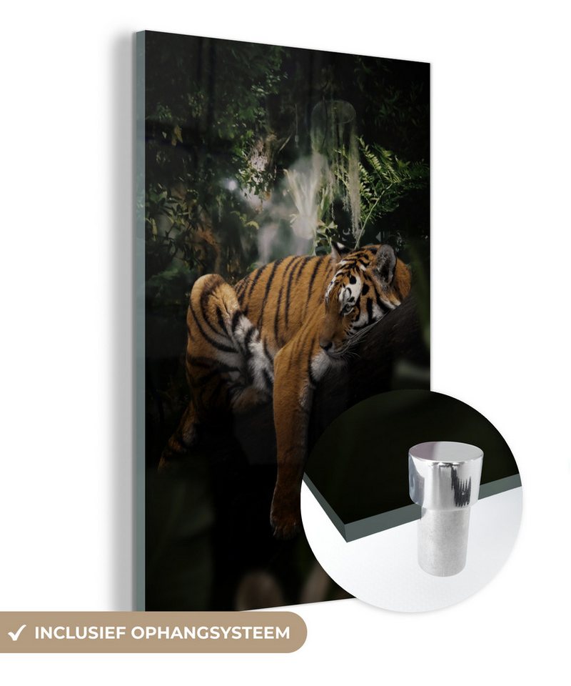 MuchoWow Acrylglasbild Tiger - Dschungel - Baum, Fotodruck (1 St), Modern Bild auf glas Wohnzimmer Schlafzimmer, 60x90 cm von MuchoWow