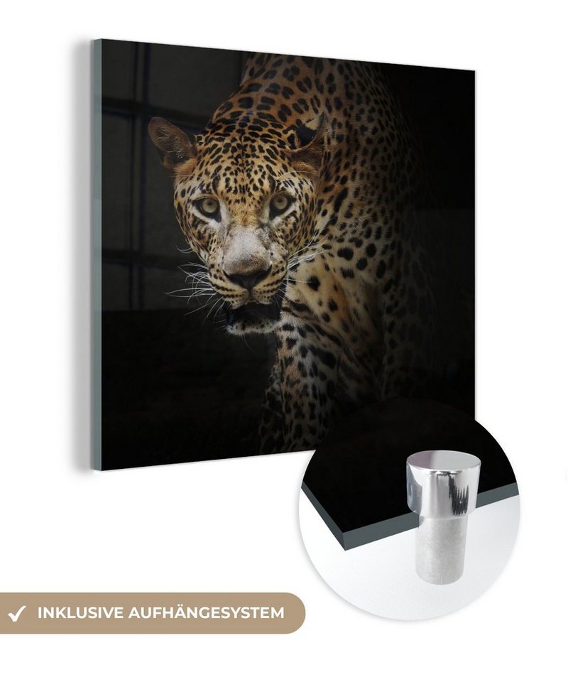 MuchoWow Acrylglasbild Leopard - Wilde Tiere - Licht, Inkl. Aufhängung, Bilder auf Glas Wandbild, Wanddeko Wohnzimmer Badezimmer, 20x20 cm von MuchoWow