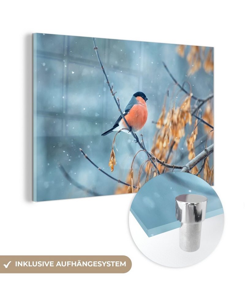 MuchoWow Acrylglasbild Rotkehlchen - Vogel - Schnee - Herbstliche Blätter, (1 St), Glasbilder - Bilder auf Glas Wandbild - Foto auf Glas - Wanddekoration von MuchoWow