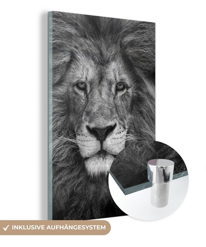 MuchoWow Acrylglasbild Tierprofil Persischer Löwe in schwarz und weiß, (1 St), Glasbilder - Bilder auf Glas Wandbild - Foto auf Glas - Wanddekoration von MuchoWow
