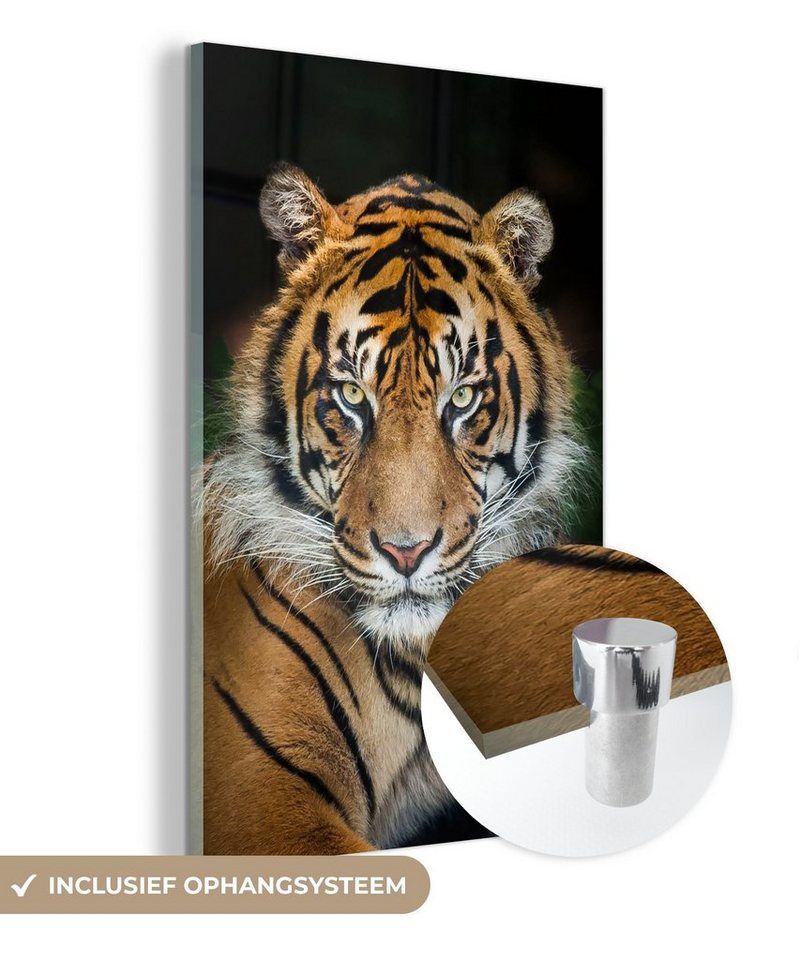 MuchoWow Acrylglasbild Tiger - Schwarz, Fotodruck (1 St), Modern Bild auf glas Wohnzimmer Schlafzimmer, 60x90 cm von MuchoWow