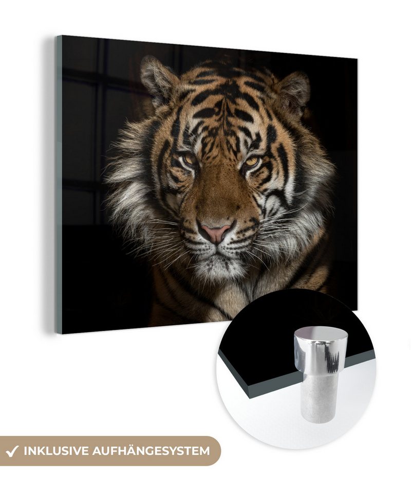 MuchoWow Acrylglasbild Tiger - Wilde Tiere - Porträt, Fotodruck (1 St), Glasbild Wohnzimmer, Schlafzimmer, Flur & Esszimmer, 80x60 cm von MuchoWow