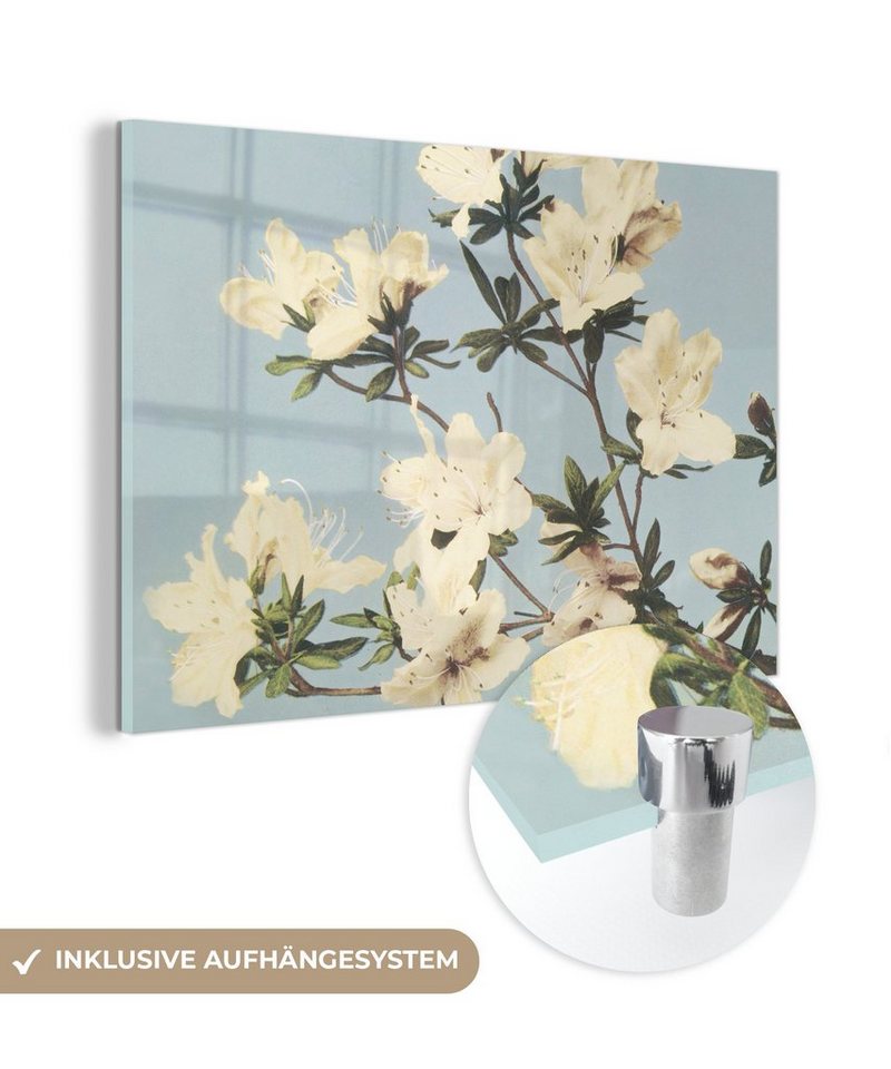 MuchoWow Acrylglasbild Vintage - Blumen - Weiß - Natur, Fotodruck (1 St), Glasbilder Wohnzimmer, Schlafzimmer, Flur & Esszimmer, 30x20 cm von MuchoWow