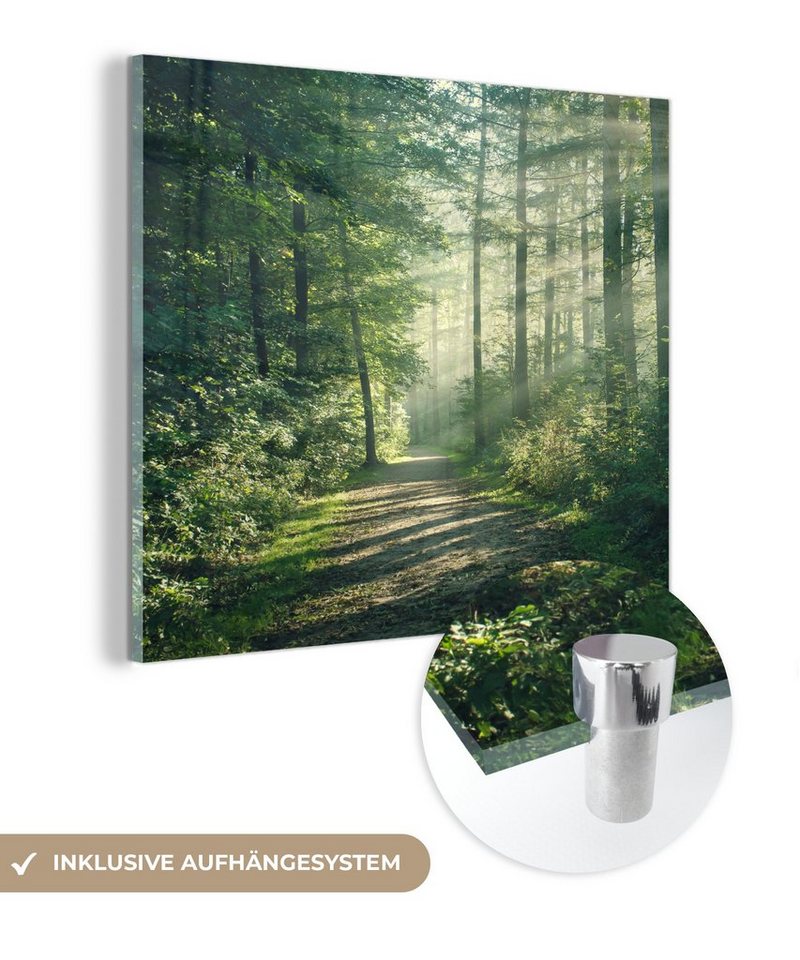 MuchoWow Acrylglasbild Wald - Weg - Sonne - Bäume - Grün - Natur, (1 St), Glasbilder - Bilder auf Glas Wandbild - Foto auf Glas - Wanddekoration von MuchoWow