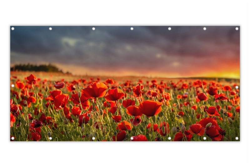 MuchoWow Balkonsichtschutz Sonnenuntergang über einem Feld von Mohnblumen (1-St) Balkon Sichtschutz 90x200, Windschutz für Zaun PVC, 200x90 cm von MuchoWow
