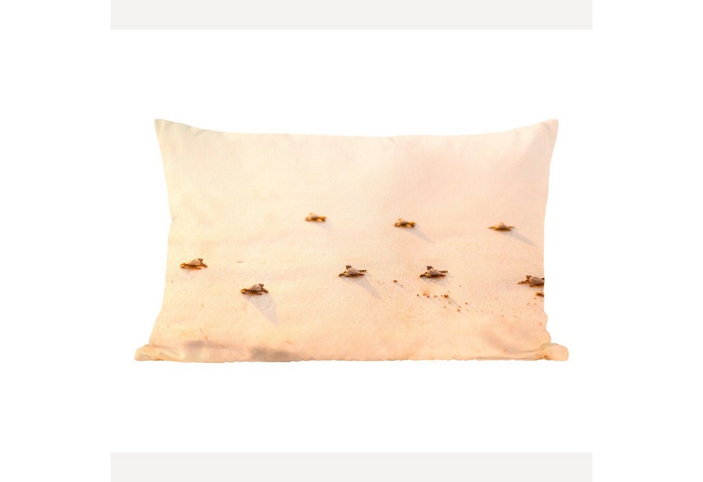 MuchoWow Dekokissen Baby-Schildkröten Fotodruck, Dekoration, Zierkissen, Kissen mit Füllung, 50x30 cm MuchoWow Dekokissen Baby-Schildkröten Fotodruck, Dekoration, Zierkissen, Kissen mit Füllung, 50x30 cm von MuchoWow